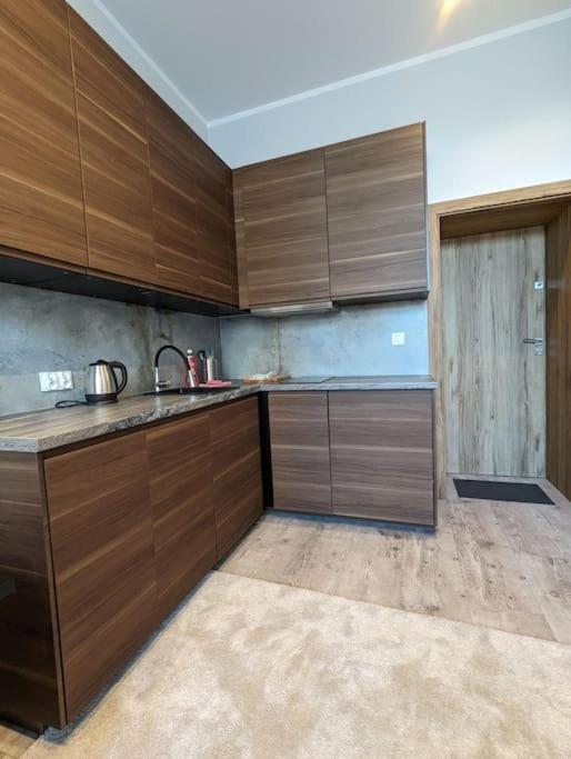 Apartment A4 In Downtown Of Krasków Eksteriør bilde